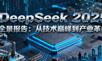 DeepSeek 2025 全景报告:从技术巅峰到产业革命