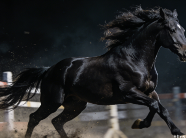 C#或成”2025年度编程语言”，R语言杀回前十：TIOBE 12月榜单深度解析