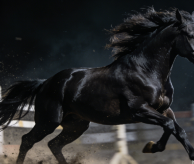 C#或成”2025年度编程语言”，R语言杀回前十：TIOBE 12月榜单深度解析