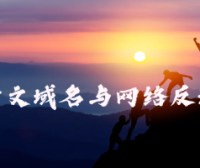 中文域名准确展示与网络钓鱼防范：PHP技术深度实践