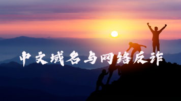 中文域名准确展示与网络钓鱼防范：PHP技术深度实践